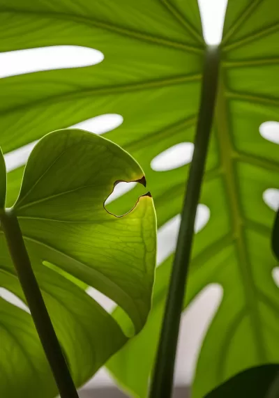 Imagen PNG para descargar